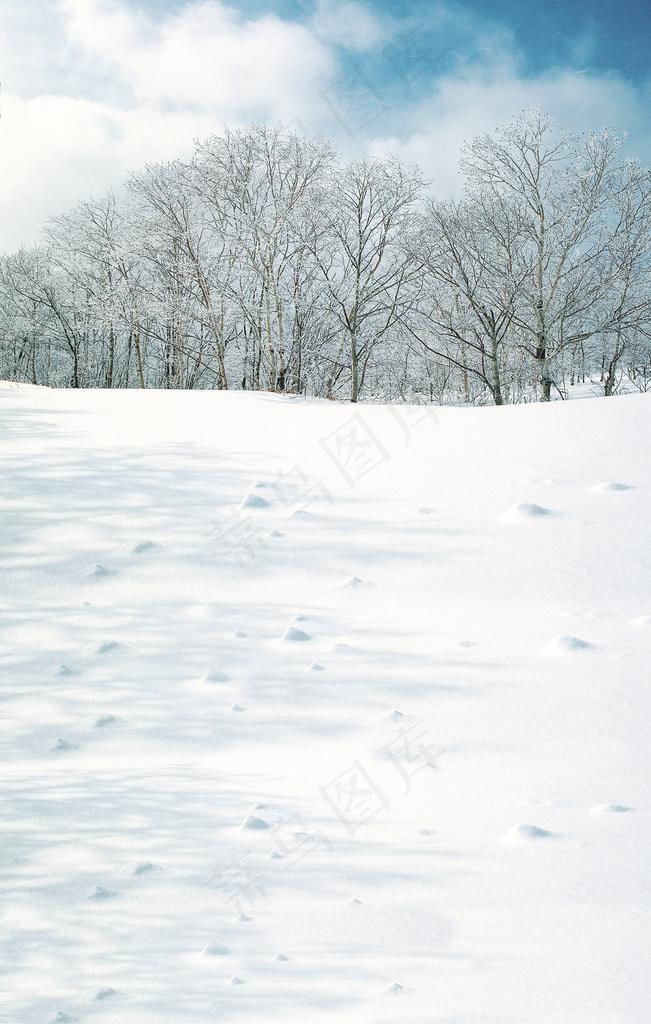 雪地图片