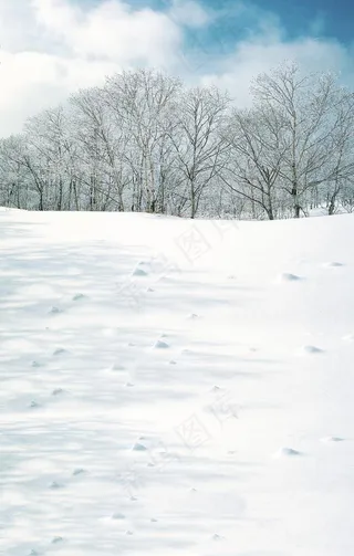 雪地图片