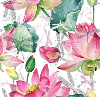 荷花 手绘花图片