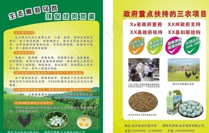 绿壳鸡蛋 绿壳蛋图片cdr矢量模版下载