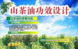 山茶油背景展板设计图片