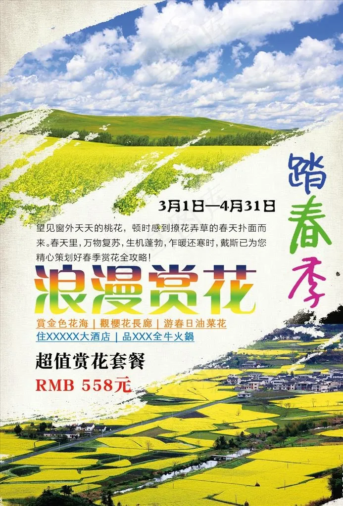 油菜花海报图片