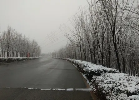 雪景图片 雪景图片