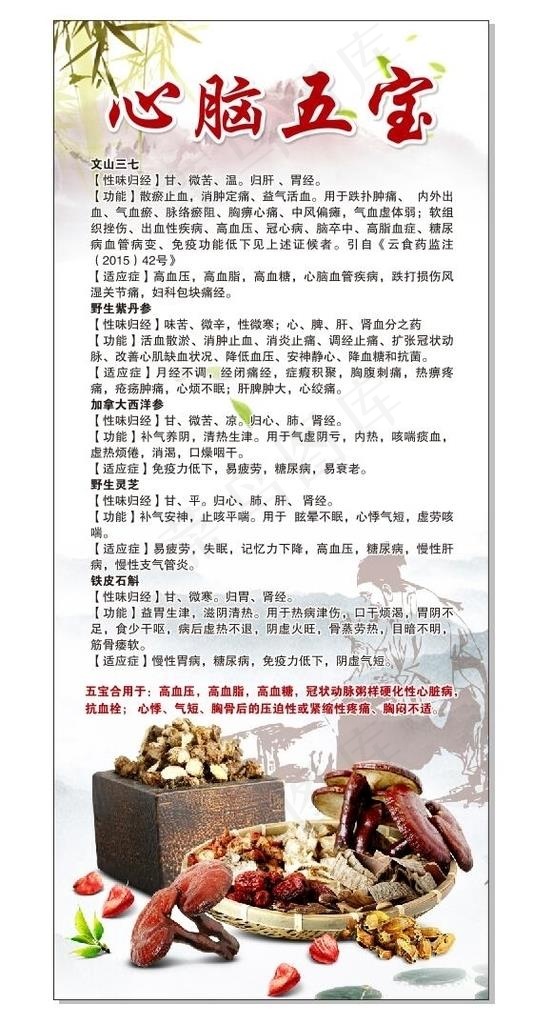 心脑五宝展架图片cdr矢量模版下载
