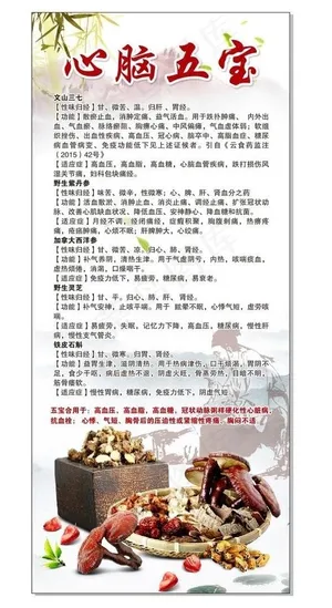 心脑五宝展架图片