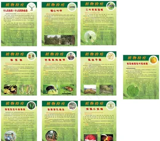植物检疫展板图片