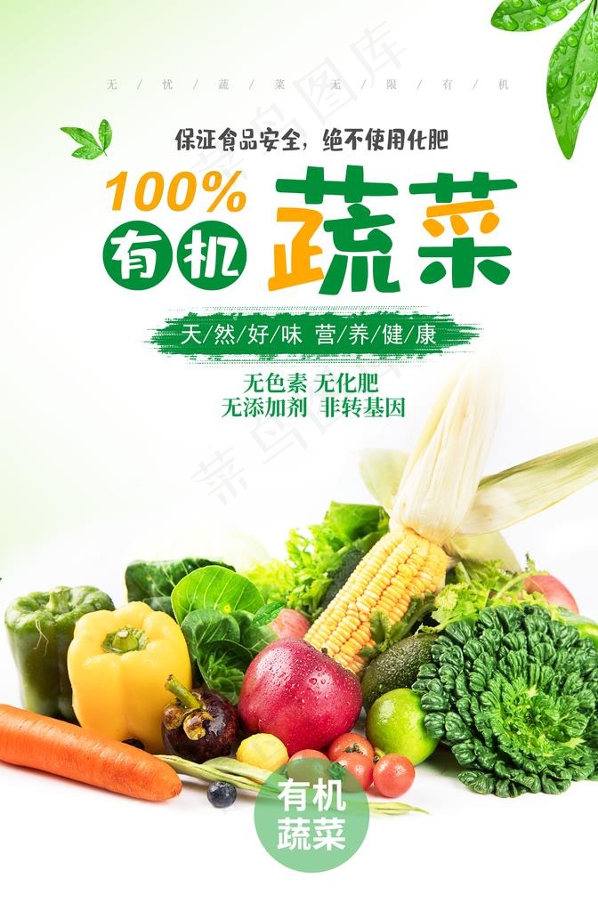 有机蔬菜海报图片