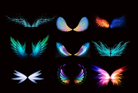 翅膀图片