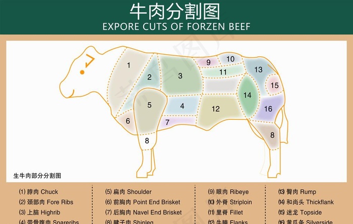 牛肉分割图图片ai矢量模版下载