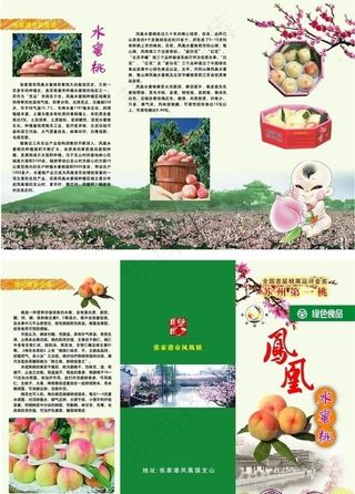 水蜜桃折页图片