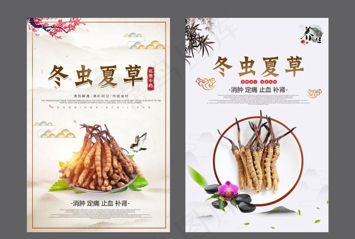 冬虫夏草图片(3543X5315(DPI:150))psd模版下载