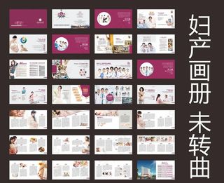 妇产画册 图片