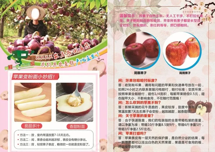 花牛彩页图片(1724X2551(DPI:300))psd模版下载