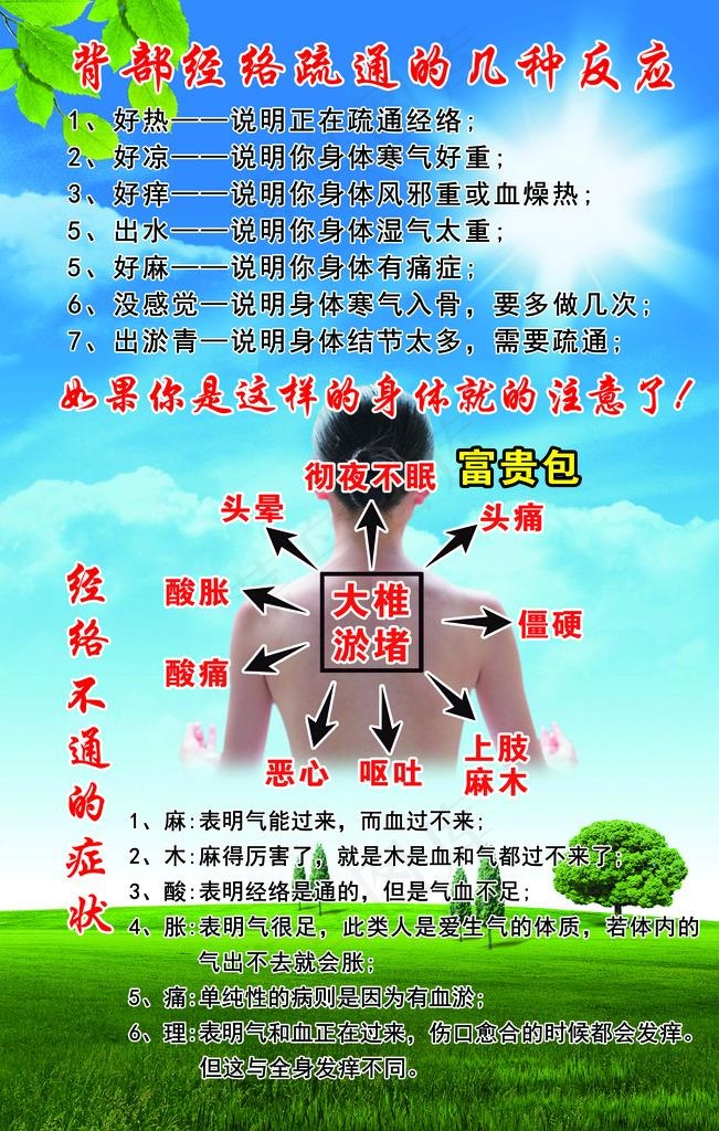 经络疏通 大椎淤堵图片