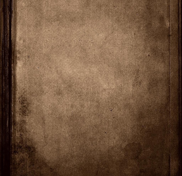 欧式古典背景图案图片