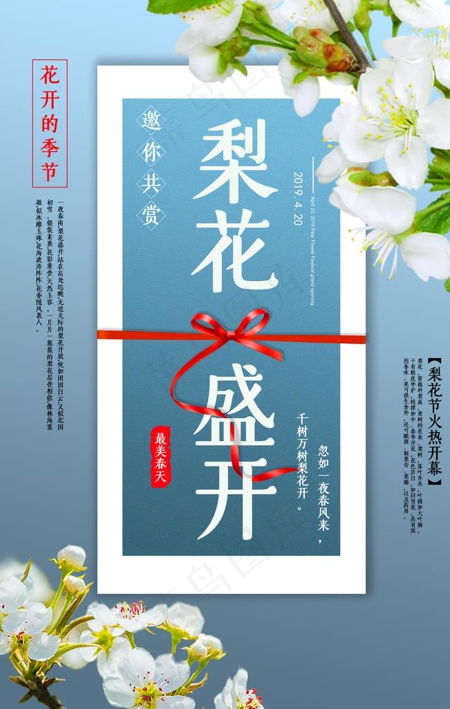 梨花盛开图片
