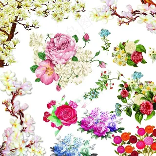 花素材图片 花素材图片