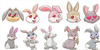 兔子图片