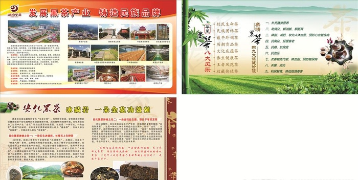 华莱健 安化黑茶 企业展板图片