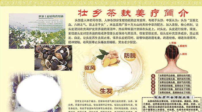 壮乡茶麸姜疗简介图片(7874X4724(DPI:100))psd模版下载
