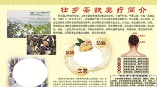 壮乡茶麸姜疗简介图片