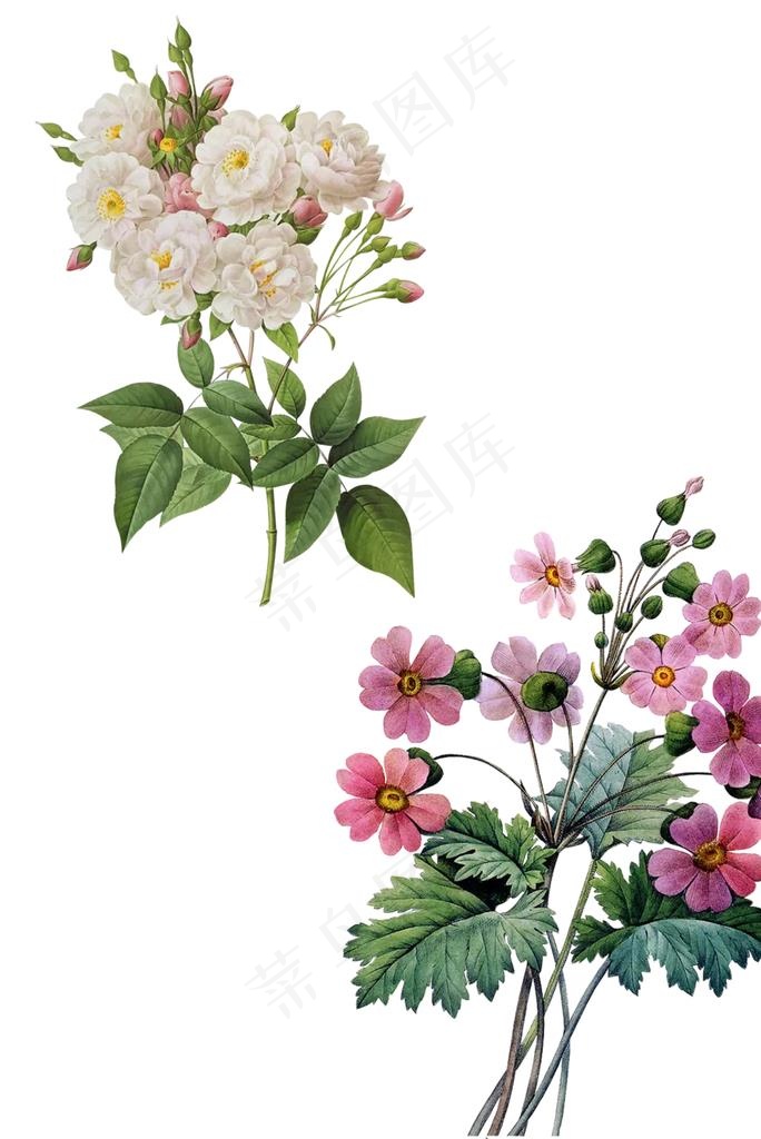 花束图片(5292X7571(DPI:96))psd模版下载