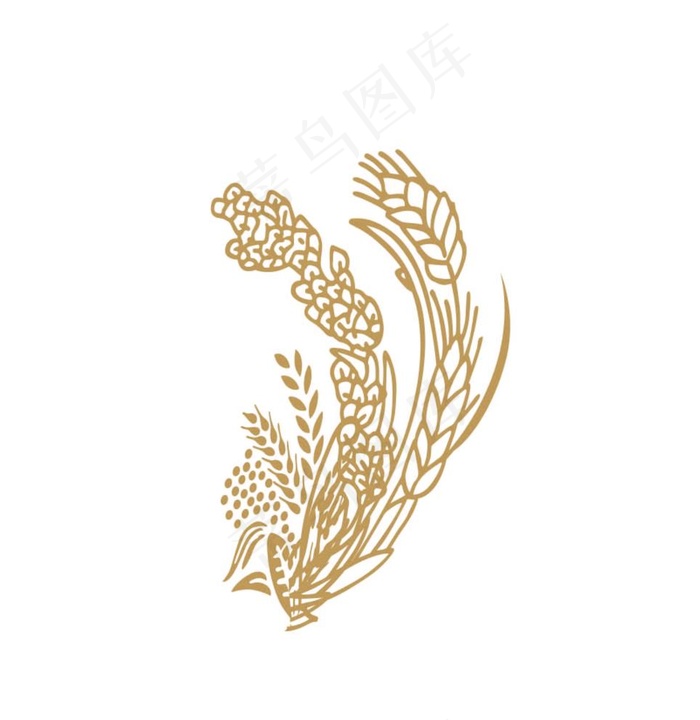 麦穗高粱图片