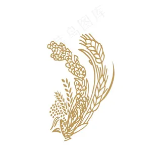 麦穗高粱图片