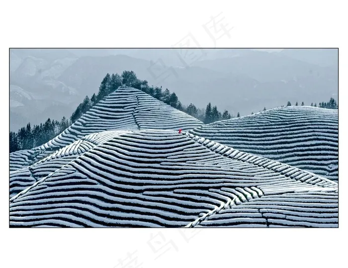雪景图片