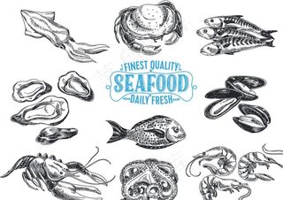 手绘海鲜图片