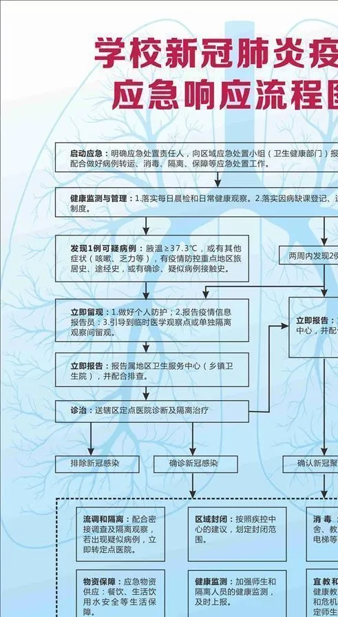 学校新冠肺炎疫情 应急响应流程图片cdr矢量模版下载