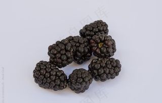 黑莓图片