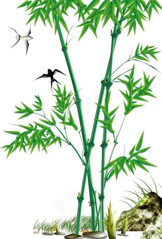 水墨竹子图片