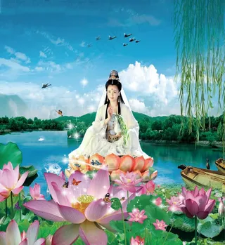 莲花观音图片