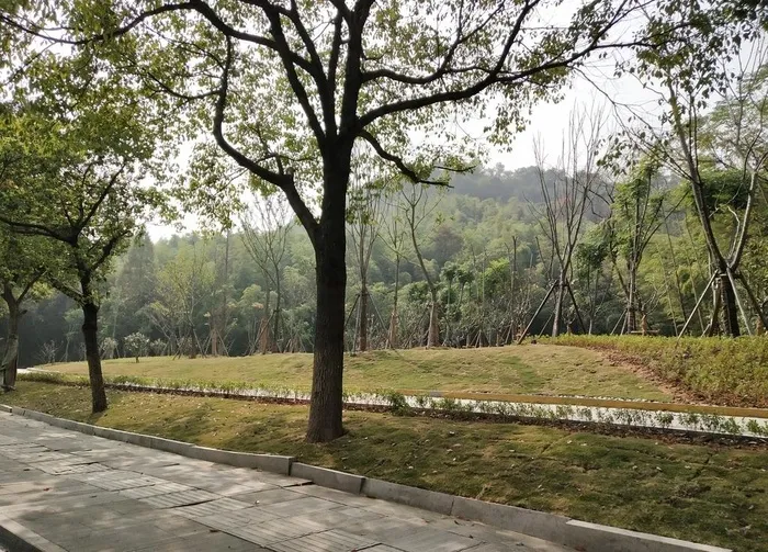 街景图片