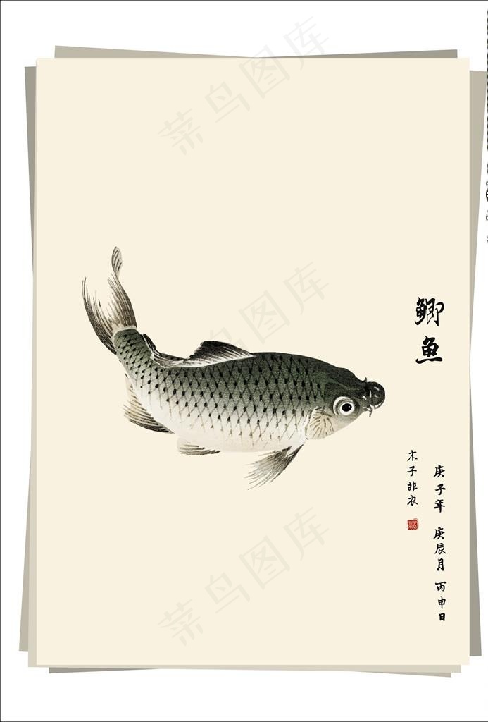 鲫鱼 水墨画图片cdr矢量模版下载