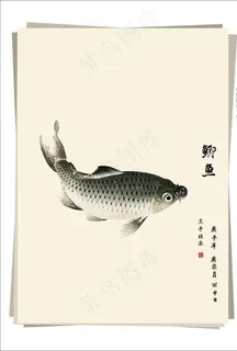鲫鱼 水墨画图片 鲫鱼 水墨画图片