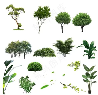 树植物绿植灌木丛落叶素材免抠图片