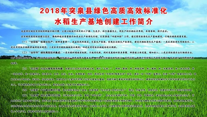 水稻图片(10602X6350(DPI:72))psd模版下载