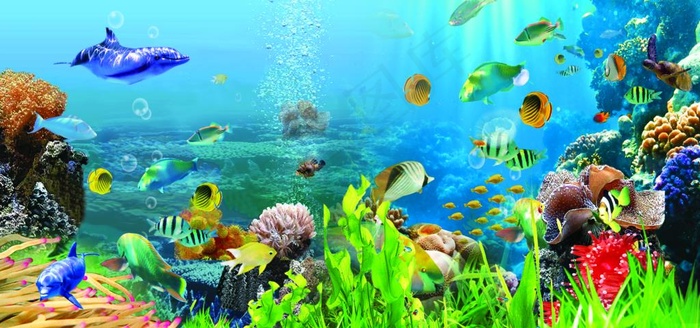 鱼缸背景图片
