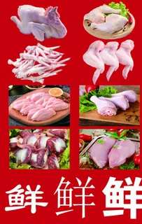 生鸡分割图片 生鸡分割图片