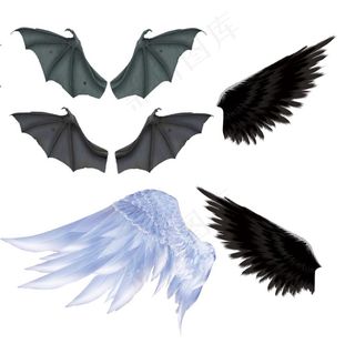翅膀图片