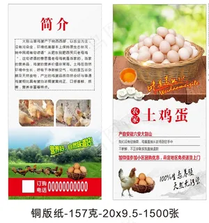 土鸡蛋宣传单图片