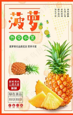 菠萝图片