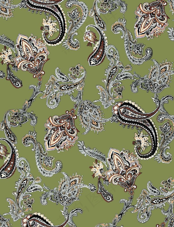 腰果花图片