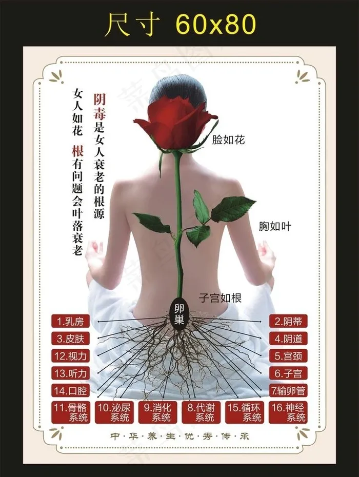 女人如花 宣传海报图片cdr矢量模版下载