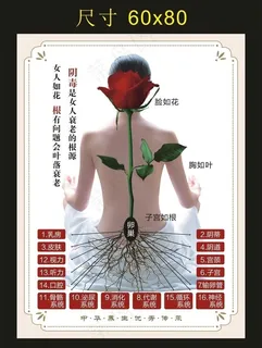 女人如花 宣传海报图片