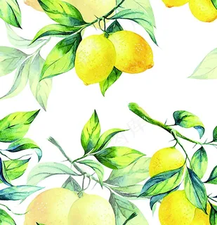 柠檬图片 柠檬图片
