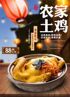 农家土鸡图片 农家土鸡图片