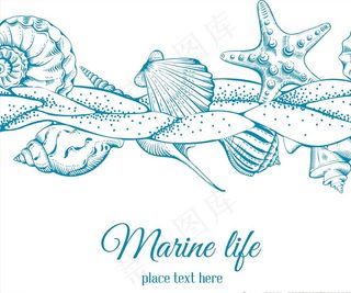 海洋生物插画图片